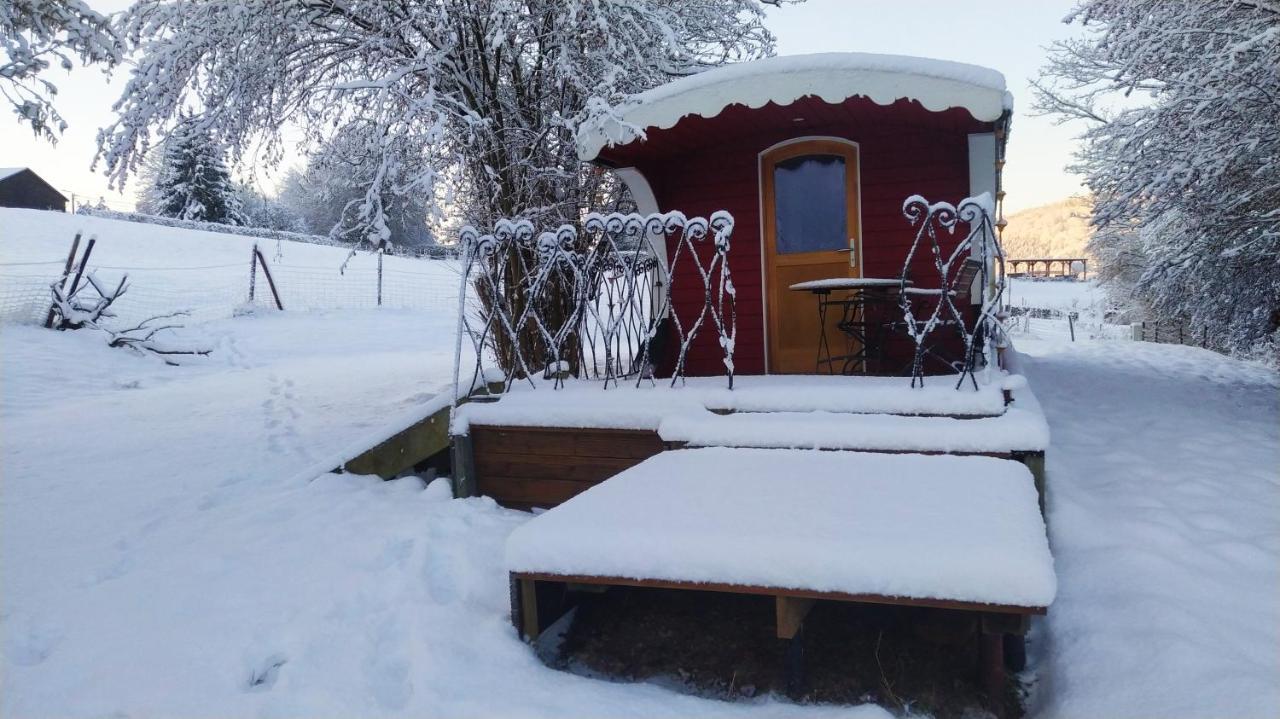 Willa La Tiny House De La Bergerie Lierneux Zewnętrze zdjęcie